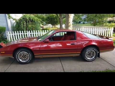 1987 Pontiac Firebird (CC-1970898) for sale in Akron, Ohio